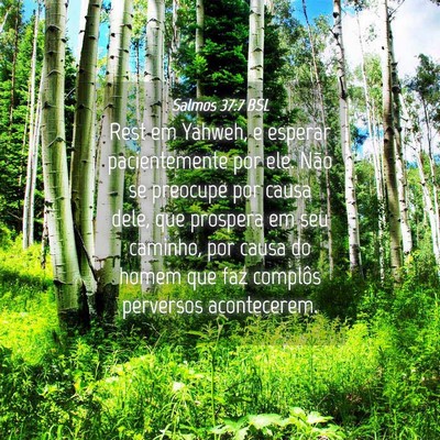 Picture 04 - Salmos 37:7 BSL - Rest em Yahweh, e esperar pacientemente por ele. - Bible Verse Picture