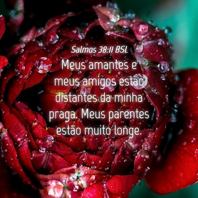 Picture 04 - Salmos 38:11 BSL - Meus amantes e meus amigos estão distantes da - Bible Verse Picture