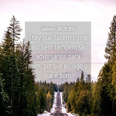Picture 04 - Salmos 38:20 BSL - They que fazem o mal pelo bem também são - Bible Verse Picture