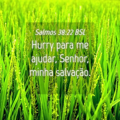 Picture 04 - Salmos 38:22 BSL - Hurry para me ajudar, Senhor, minha - Bible Verse Picture