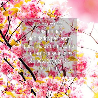 Picture 04 - Salmos 38:4 BSL - Pois minhas iniqüidades passaram por cima de - Bible Verse Picture