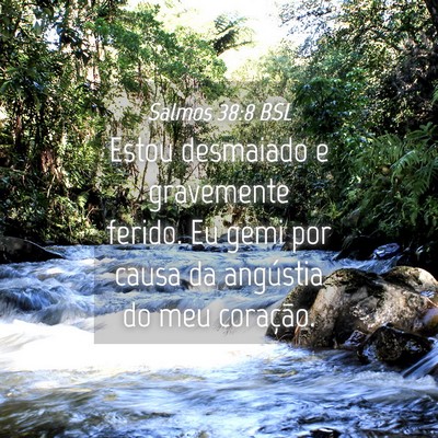 Picture 04 - Salmos 38:8 BSL - Estou desmaiado e gravemente ferido. Eu gemi por - Bible Verse Picture