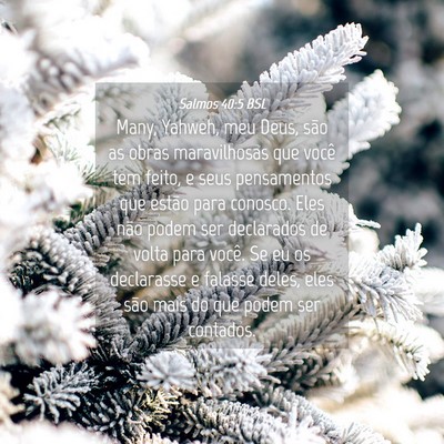 Picture 04 - Salmos 40:5 BSL - Many, Yahweh, meu Deus, são as obras - Bible Verse Picture