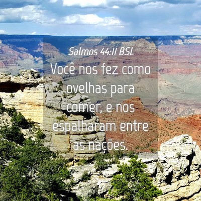 Picture 04 - Salmos 44:11 BSL - Você nos fez como ovelhas para comer, e nos - Bible Verse Picture