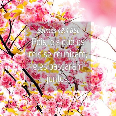 Picture 04 - Salmos 48:4 BSL - Pois, eis que os reis se reuniram, eles passaram - Bible Verse Picture