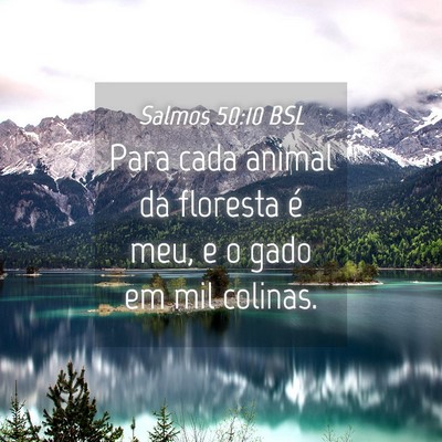 Picture 04 - Salmos 50:10 BSL - Para cada animal da floresta é meu, e o gado em - Bible Verse Picture