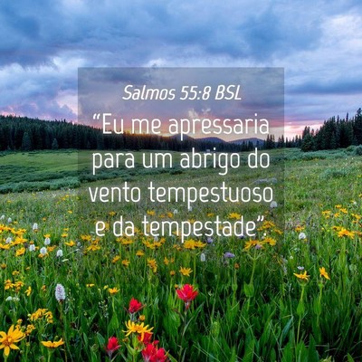 Picture 04 - Salmos 55:8 BSL - “Eu me apressaria para um abrigo do vento - Bible Verse Picture