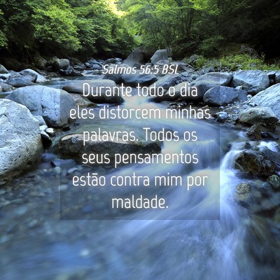 Picture 04 - Salmos 56:5 BSL - Durante todo o dia eles distorcem minhas - Bible Verse Picture