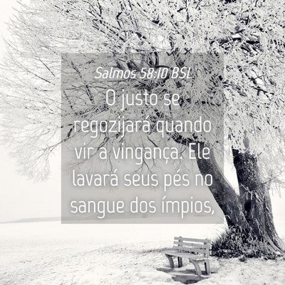 Picture 04 - Salmos 58:10 BSL - O justo se regozijará quando vir a vingança. - Bible Verse Picture