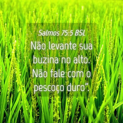 Picture 04 - Salmos 75:5 BSL - Não levante sua buzina no alto. Não fale com o - Bible Verse Picture