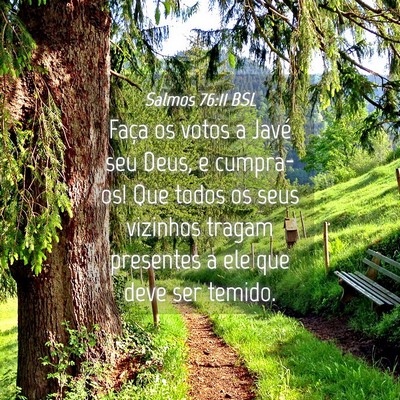 Picture 04 - Salmos 76:11 BSL - Faça os votos a Javé seu Deus, e cumpra-os! Que - Bible Verse Picture