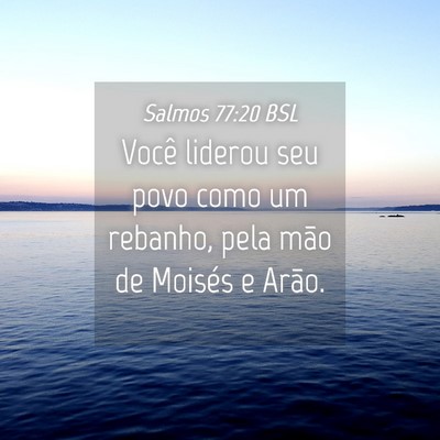 Picture 04 - Salmos 77:20 BSL - Você liderou seu povo como um rebanho, pela mão - Bible Verse Picture