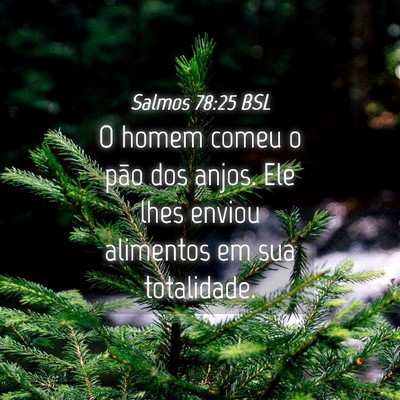 Picture 04 - Salmos 78:25 BSL - O homem comeu o pão dos anjos. Ele lhes enviou - Bible Verse Picture