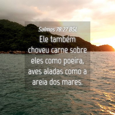 Picture 04 - Salmos 78:27 BSL - Ele também choveu carne sobre eles como poeira, - Bible Verse Picture