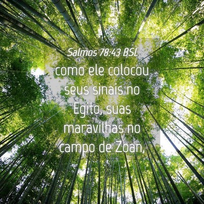 Picture 04 - Salmos 78:43 BSL - como ele colocou seus sinais no Egito, suas - Bible Verse Picture