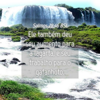 Picture 04 - Salmos 78:46 BSL - Ele também deu seu aumento para a lagarta, e seu - Bible Verse Picture