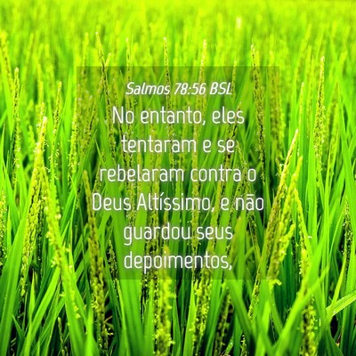 Picture 04 - Salmos 78:56 BSL - No entanto, eles tentaram e se rebelaram contra o - Bible Verse Picture