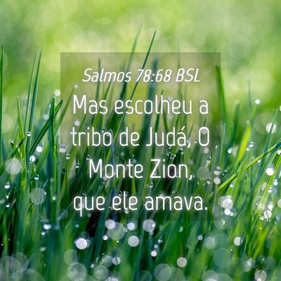 Picture 04 - Salmos 78:68 BSL - Mas escolheu a tribo de Judá, O Monte Zion, que - Bible Verse Picture