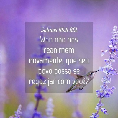 Picture 04 - Salmos 85:6 BSL - Won não nos reanimem novamente, que seu povo - Bible Verse Picture