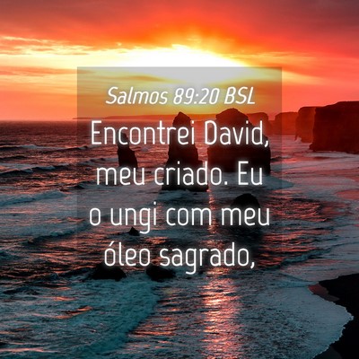 Picture 04 - Salmos 89:20 BSL - Encontrei David, meu criado. Eu o ungi com meu - Bible Verse Picture