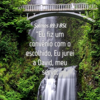 Picture 04 - Salmos 89:3 BSL - “Eu fiz um convênio com o escolhido, Eu jurei - Bible Verse Picture