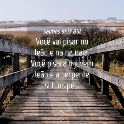 Picture 04 - Salmos 91:13 BSL - Você vai pisar no leão e na na naja. Você - Bible Verse Picture