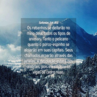 Picture 04 - Sofonias 2:14 BSL - Os rebanhos se deitarão no meio dela, todos os - Bible Verse Picture