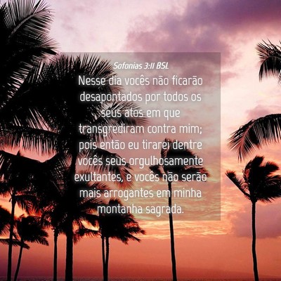 Picture 04 - Sofonias 3:11 BSL - Nesse dia vocês não ficarão desapontados por - Bible Verse Picture