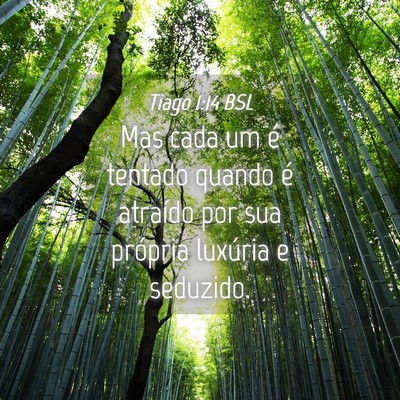 Picture 04 - Tiago 1:14 BSL - Mas cada um é tentado quando é atraído por sua - Bible Verse Picture