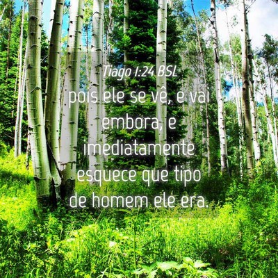 Picture 04 - Tiago 1:24 BSL - pois ele se vê, e vai embora, e imediatamente - Bible Verse Picture