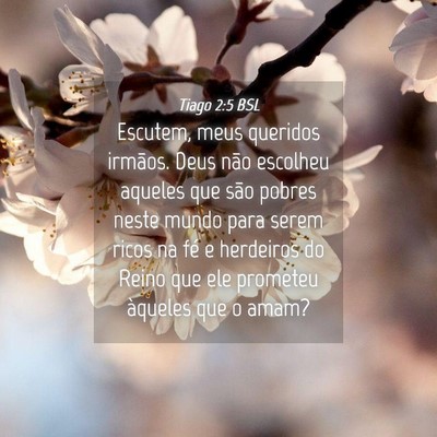 Picture 04 - Tiago 2:5 BSL - Escutem, meus queridos irmãos. Deus não - Bible Verse Picture