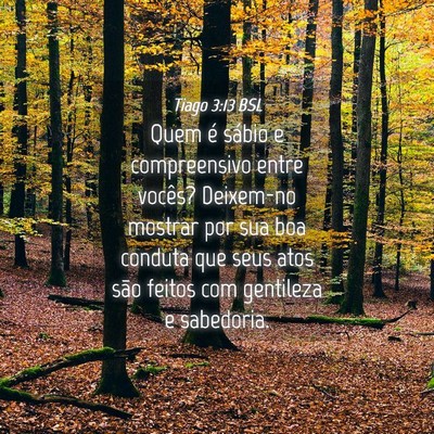 Picture 04 - Tiago 3:13 BSL - Quem é sábio e compreensivo entre vocês? - Bible Verse Picture