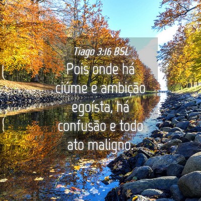 Picture 04 - Tiago 3:16 BSL - Pois onde há ciúme e ambição egoísta, há - Bible Verse Picture