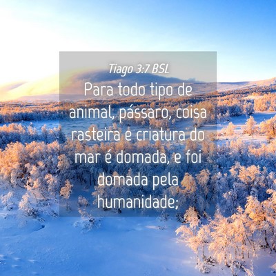 Picture 04 - Tiago 3:7 BSL - Para todo tipo de animal, pássaro, coisa - Bible Verse Picture