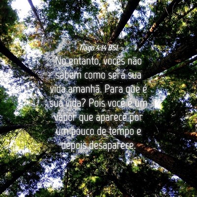 Picture 04 - Tiago 4:14 BSL - No entanto, vocês não sabem como será sua vida - Bible Verse Picture