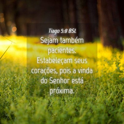Picture 04 - Tiago 5:8 BSL - Sejam também pacientes. Estabeleçam seus - Bible Verse Picture