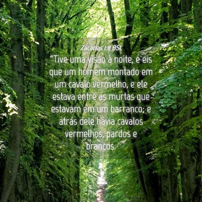 Picture 04 - Zacarias 1:8 BSL - “Tive uma visão à noite, e eis que um homem - Bible Verse Picture