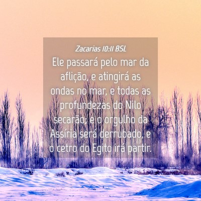 Picture 04 - Zacarias 10:11 BSL - Ele passará pelo mar da aflição, e atingirá - Bible Verse Picture