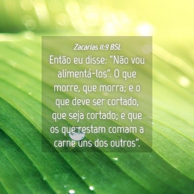 Picture 04 - Zacarias 11:9 BSL - Então eu disse: “Não vou alimentá-los”. O - Bible Verse Picture