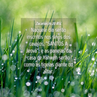 Picture 04 - Zacarias 14:20 BSL - Naquele dia serão inscritos nos sinos dos - Bible Verse Picture