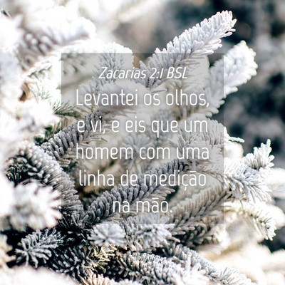 Picture 04 - Zacarias 2:1 BSL - Levantei os olhos, e vi, e eis que um homem com - Bible Verse Picture