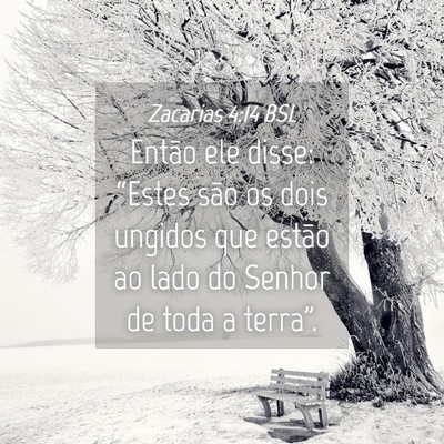Picture 04 - Zacarias 4:14 BSL - Então ele disse: “Estes são os dois ungidos - Bible Verse Picture