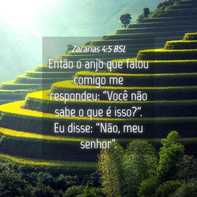 Picture 04 - Zacarias 4:5 BSL - Então o anjo que falou comigo me respondeu: - Bible Verse Picture