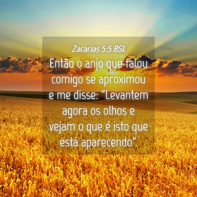 Picture 04 - Zacarias 5:5 BSL - Então o anjo que falou comigo se aproximou e me - Bible Verse Picture