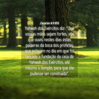 Picture 04 - Zacarias 8:9 BSL - Yahweh dos Exércitos diz: “Que vossas mãos - Bible Verse Picture