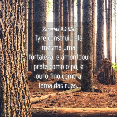 Picture 04 - Zacarias 9:3 BSL - Tyre construiu ela mesma uma fortaleza, e - Bible Verse Picture