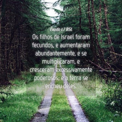 Picture 04 - Êxodo 1:7 BSL - Os filhos de Israel foram fecundos, e aumentaram - Bible Verse Picture