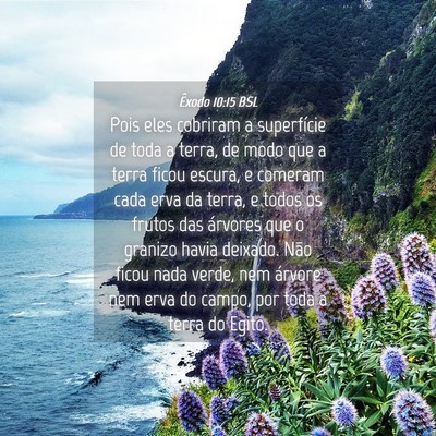 Picture 04 - Êxodo 10:15 BSL - Pois eles cobriram a superfície de toda a terra, - Bible Verse Picture