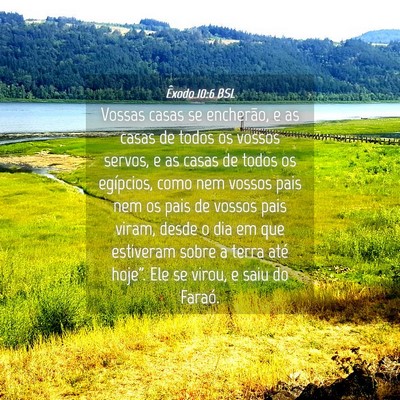 Picture 04 - Êxodo 10:6 BSL - Vossas casas se encherão, e as casas de todos os - Bible Verse Picture