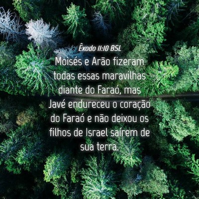 Picture 04 - Êxodo 11:10 BSL - Moisés e Arão fizeram todas essas maravilhas - Bible Verse Picture